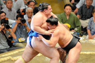 sumo