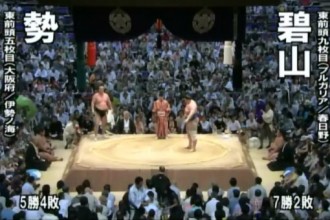 sumo