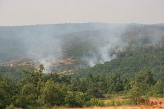 pojasr