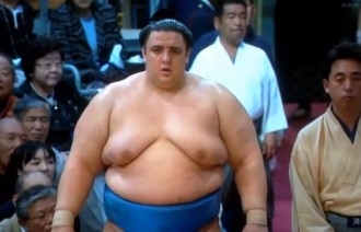 sumo